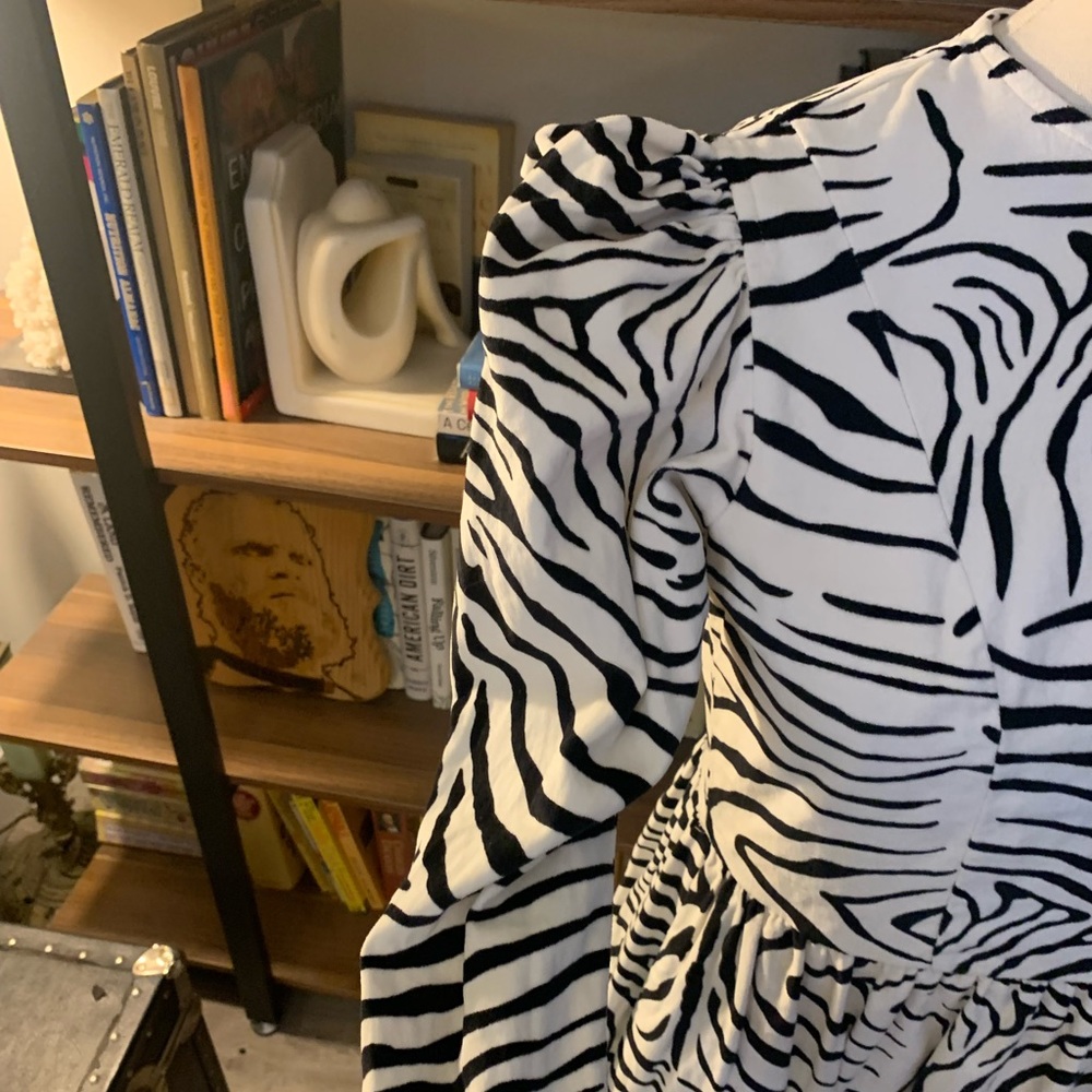 Zebra Print Long Sleeve Midi Dress - Black & White - Picture 5 of 11
